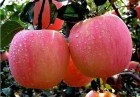 每天吃苹果的十大好处 降血压止腹泻