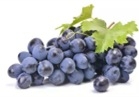 女人吃葡萄有什么好处 软化血管健脾和胃