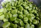 吃蚕豆的好处 防治肠癌强体补脑