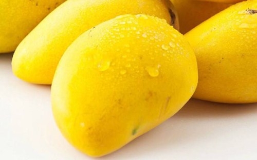 芒果的功效与作用 防癌抗癌抗菌消炎