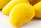 芒果的功效与作用 防癌抗癌抗菌消炎