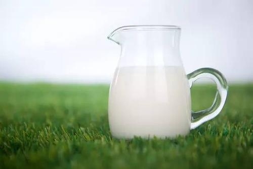 女性喝羊奶有什么好处 延年益寿养胃护胃