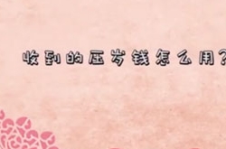 爸爸偷我的压岁钱去加油 你的压岁钱都这么用