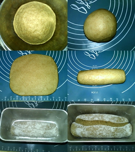 高纤胚芽面包步骤7-12