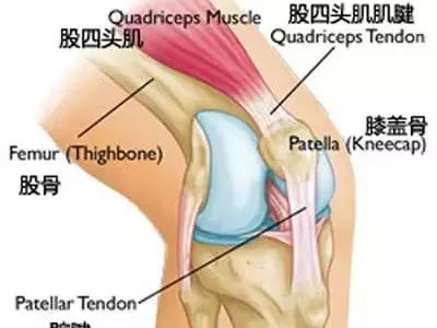 瑜伽站立体式中，保护膝盖的三个要点1.jpg
